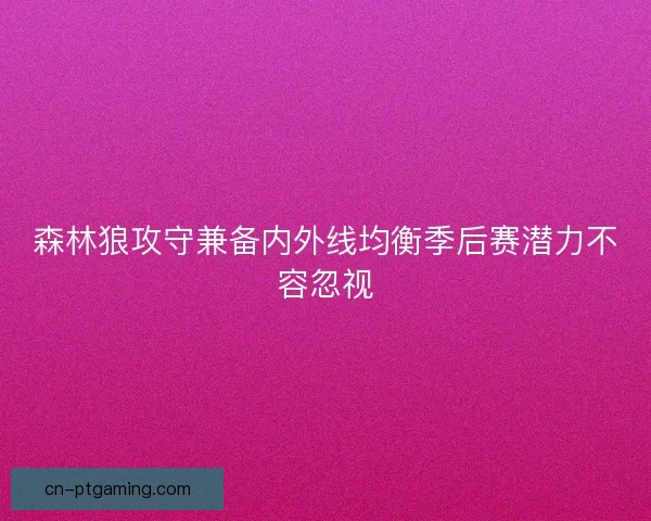 森林狼攻守兼备内外线均衡季后赛潜力不容忽视