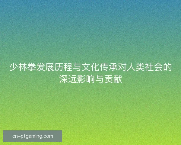 少林拳发展历程与文化传承对人类社会的深远影响与贡献